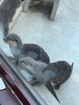 横浜・八景島シーパラダイスに投稿された画像（2024/2/12）