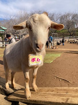 成田ゆめ牧場に投稿された画像（2024/2/12）