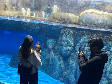 横浜・八景島シーパラダイスに投稿された画像（2024/2/12）