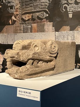 特別展「古代メキシコ ーマヤ、アステカ、テオティワカン」に投稿された画像（2024/2/12）