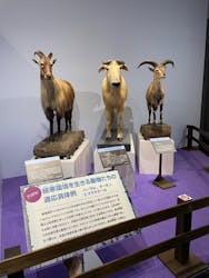 特別展「化石ハンター展 ～ゴビ砂漠の恐竜とヒマラヤの超大型獣～」＠名古屋に投稿された画像（2024/2/12）