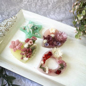 ずこうしつ〜sugamo〜に投稿された画像（2024/2/12）