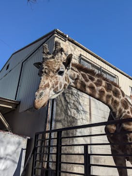 宇都宮動物園に投稿された画像（2024/2/12）