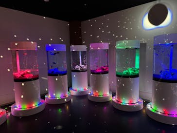 NARA KINGYO MUSEUMに投稿された画像（2024/2/12）