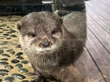 伊豆・三津シーパラダイスに投稿された画像（2024/2/12）