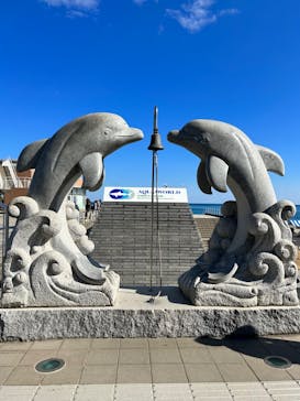 アクアワールド茨城県大洗水族館に投稿された画像（2024/2/12）
