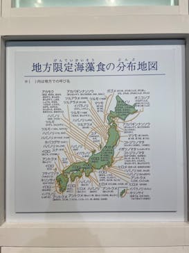 特別展「和食 ～日本の自然、人々の知恵～」に投稿された画像（2024/2/12）