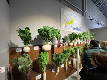 特別展「和食 ～日本の自然、人々の知恵～」に投稿された画像（2024/2/12）