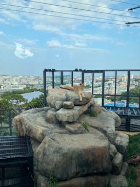 沖縄こどもの国に投稿された画像（2024/2/12）