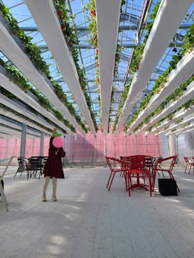 空飛ぶいちご東京に投稿された画像（2024/2/12）