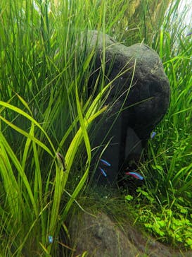 AOAO SAPPOROに投稿された画像（2024/2/12）