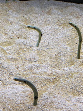 AOAO SAPPOROに投稿された画像（2024/2/12）