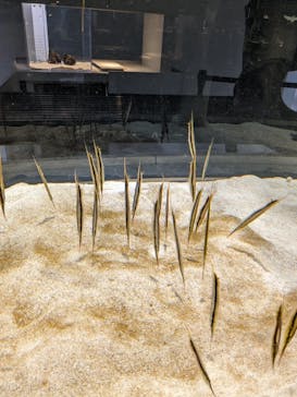 AOAO SAPPOROに投稿された画像（2024/2/12）