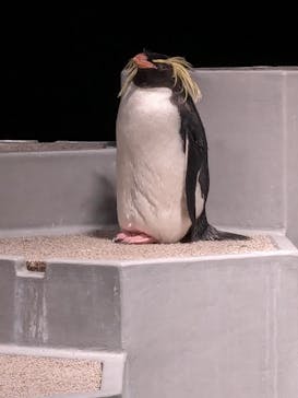 AOAO SAPPOROに投稿された画像（2024/2/12）