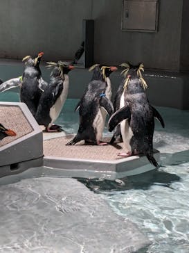 AOAO SAPPOROに投稿された画像（2024/2/12）