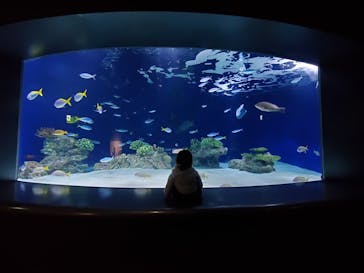 マリンワールド海の中道に投稿された画像（2024/2/12）