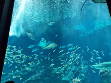 マリンワールド海の中道に投稿された画像（2024/2/12）