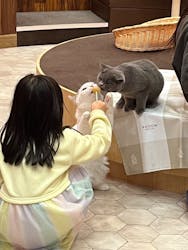 猫カフェモカ イオンモール大日店に投稿された画像（2024/2/12）