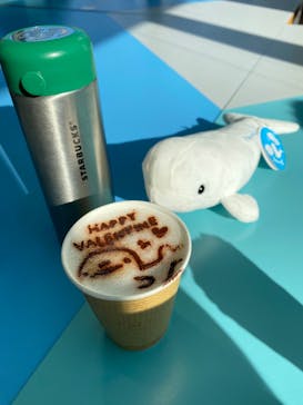 島根県立 しまね海洋館に投稿された画像（2024/2/12）