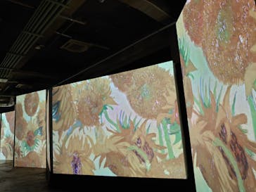 ゴッホ・アライブに投稿された画像（2024/2/12）