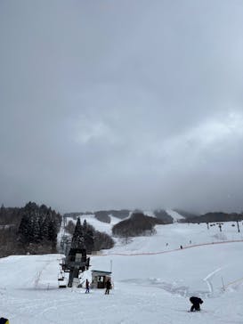 たざわ湖スキー場に投稿された画像（2024/2/12）