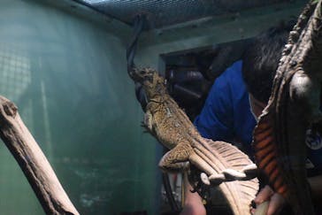 サンシャイン水族館に投稿された画像（2024/2/12）