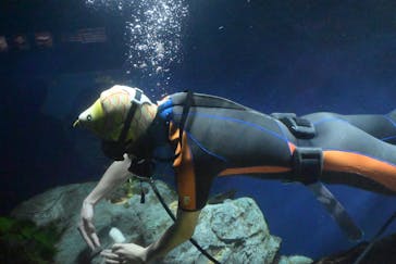 サンシャイン水族館に投稿された画像（2024/2/12）