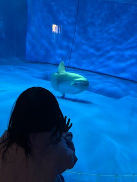 アクアワールド茨城県大洗水族館に投稿された画像（2024/2/12）