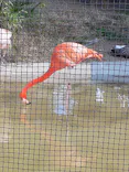 天王寺動物園に投稿された画像（2024/2/12）