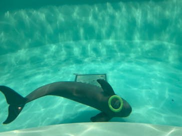 マリンワールド海の中道に投稿された画像（2024/2/12）