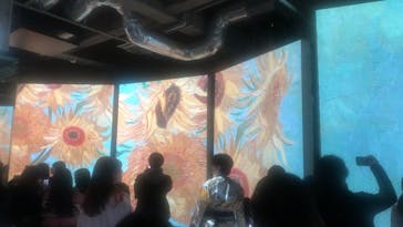 ゴッホ・アライブに投稿された画像（2024/2/12）