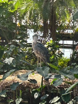 神戸どうぶつ王国に投稿された画像（2024/2/12）