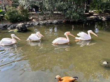 神戸どうぶつ王国に投稿された画像（2024/2/12）