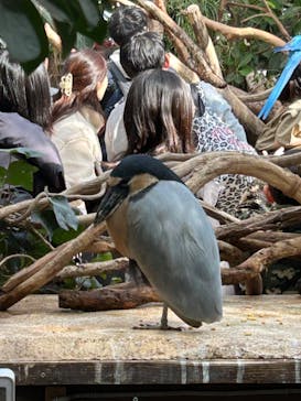 神戸どうぶつ王国に投稿された画像（2024/2/12）