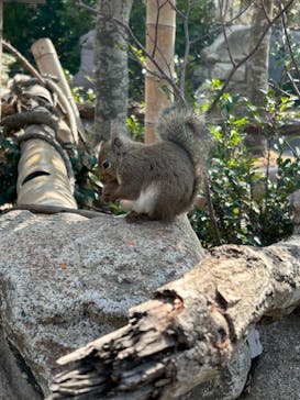 神戸どうぶつ王国に投稿された画像（2024/2/12）