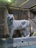 東武動物公園に投稿された画像（2024/2/12）