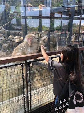 沖縄こどもの国に投稿された画像（2024/2/12）