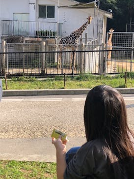 沖縄こどもの国に投稿された画像（2024/2/12）