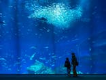 アクアワールド茨城県大洗水族館に投稿された画像（2024/2/12）