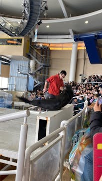 アクアワールド茨城県大洗水族館に投稿された画像（2024/2/12）