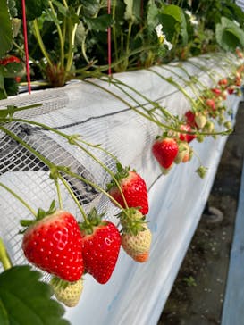 阿蘇熊本空港ホテルエミナースに投稿された画像（2024/2/12）