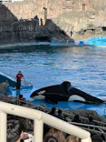 名古屋港水族館に投稿された画像（2024/2/12）