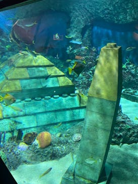 レゴランドⓇ・ジャパン・リゾートに投稿された画像（2024/2/12）