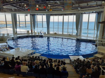 アクアワールド茨城県大洗水族館に投稿された画像（2024/2/12）