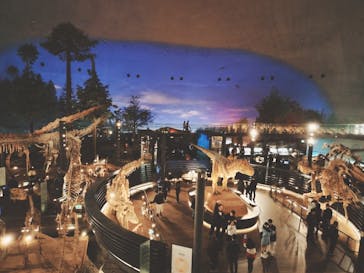 福井県立恐竜博物館に投稿された画像（2024/2/12）