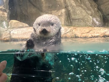 マリンワールド海の中道に投稿された画像（2024/2/12）