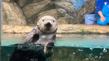 マリンワールド海の中道に投稿された画像（2024/2/12）