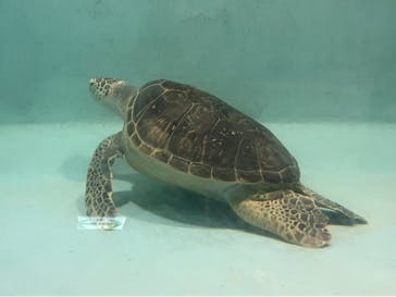 マリンワールド海の中道に投稿された画像（2024/2/12）