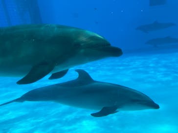 マリンワールド海の中道に投稿された画像（2024/2/12）