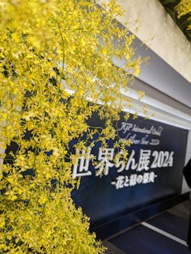 世界らん展2026-花と緑の祭典-に投稿された画像（2024/2/12）